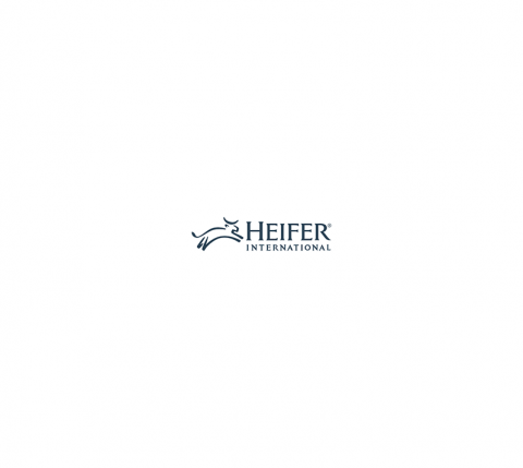 Heifer International Appoints Marcia Rasmussen as Chief Financial Officer